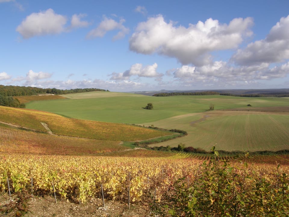 Stunning local countryside - Champagne vineyards are just a short drive away