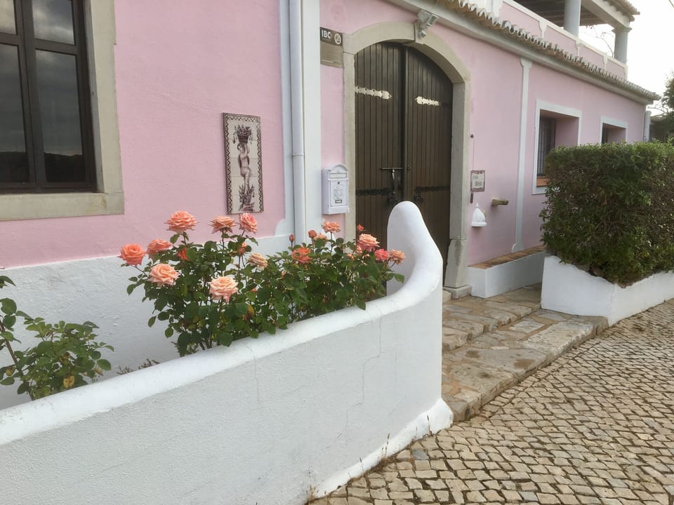 Casa Rosa - Our front entrance