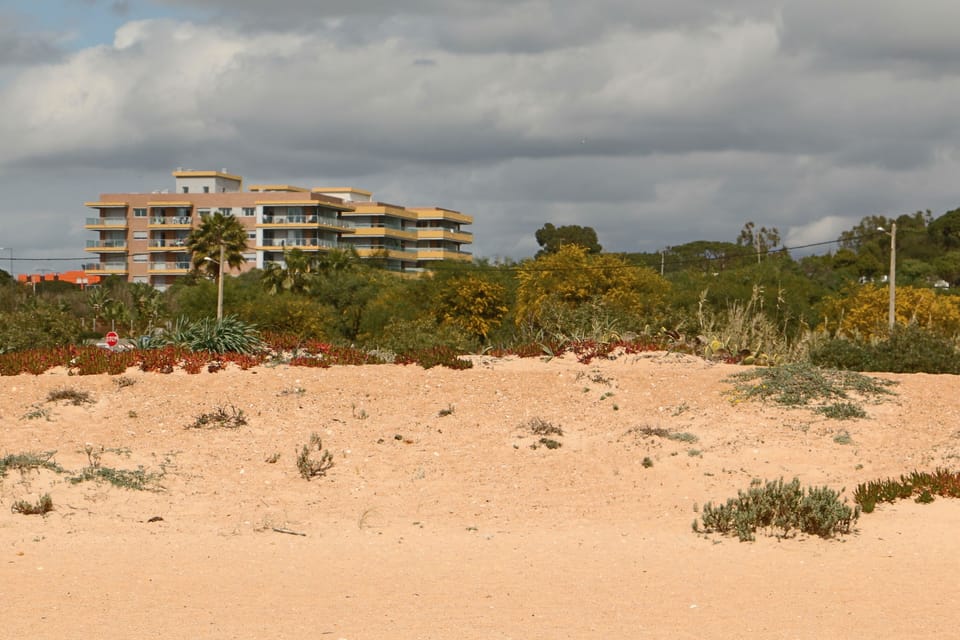 Photo from the beach (Middle block)