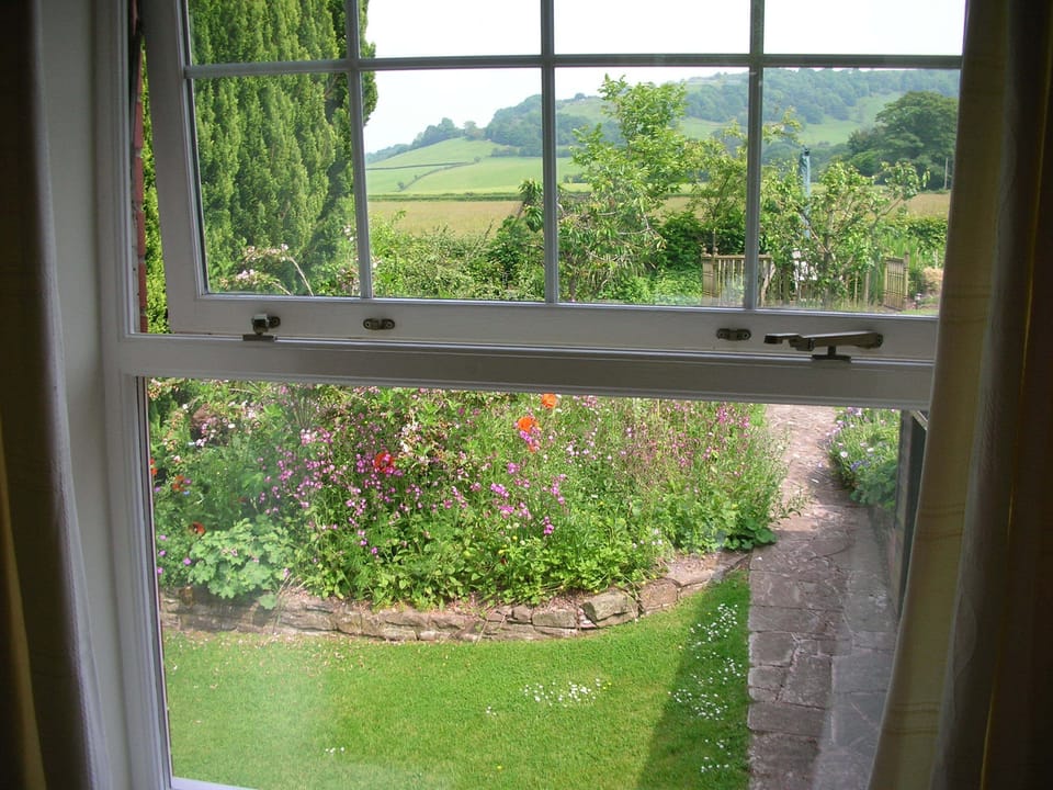 View from the sitting room window