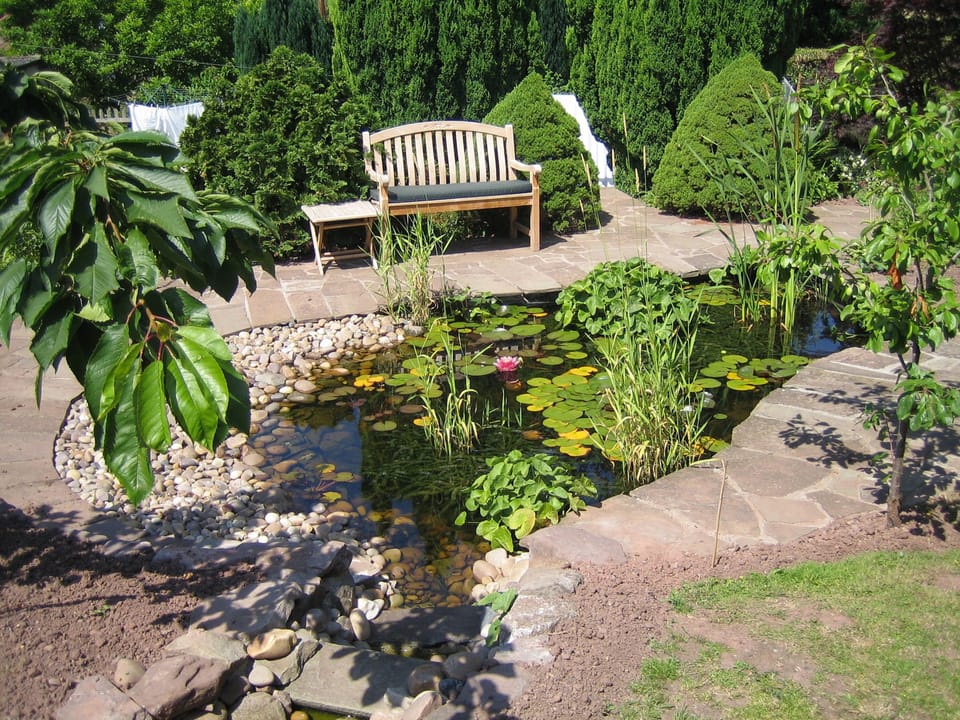 By the pond