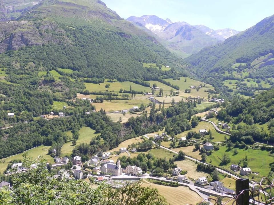 Overview