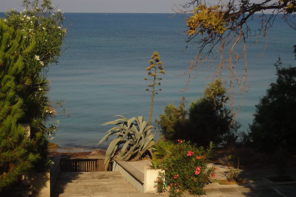 The stairs to the beach