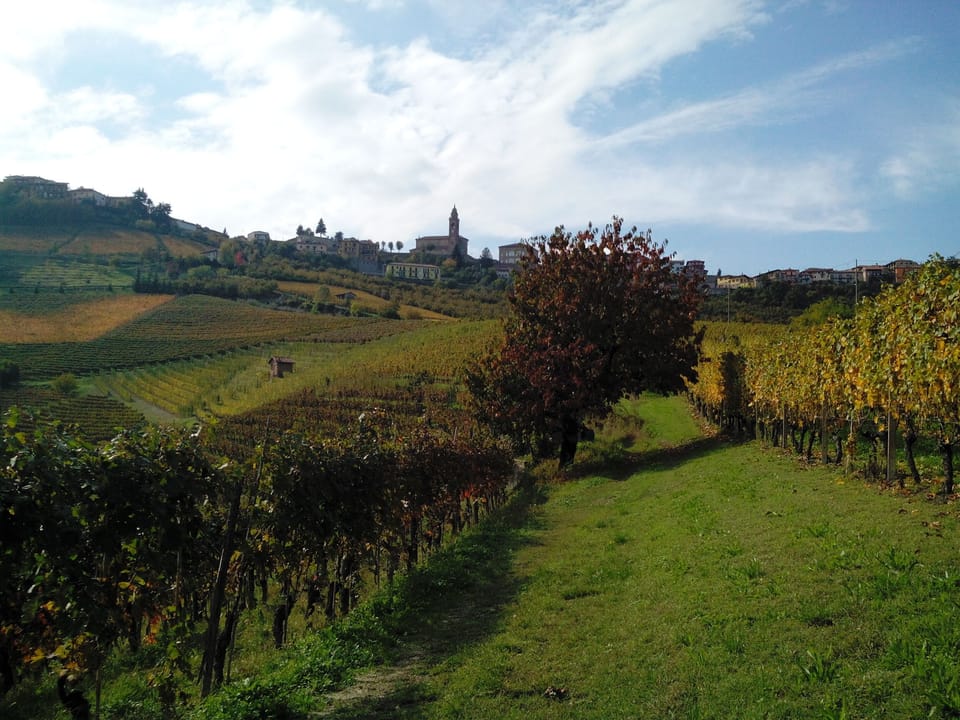 view from the gate of Casa Badinot on the village of Diano