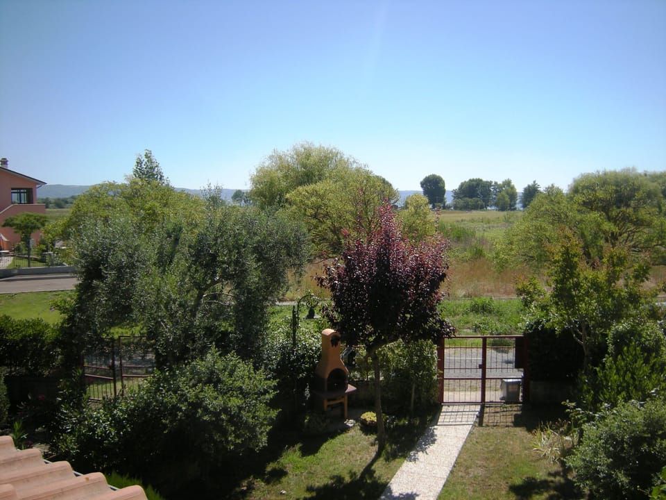 the view from the terrace