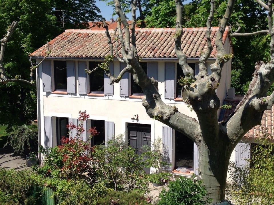 South view