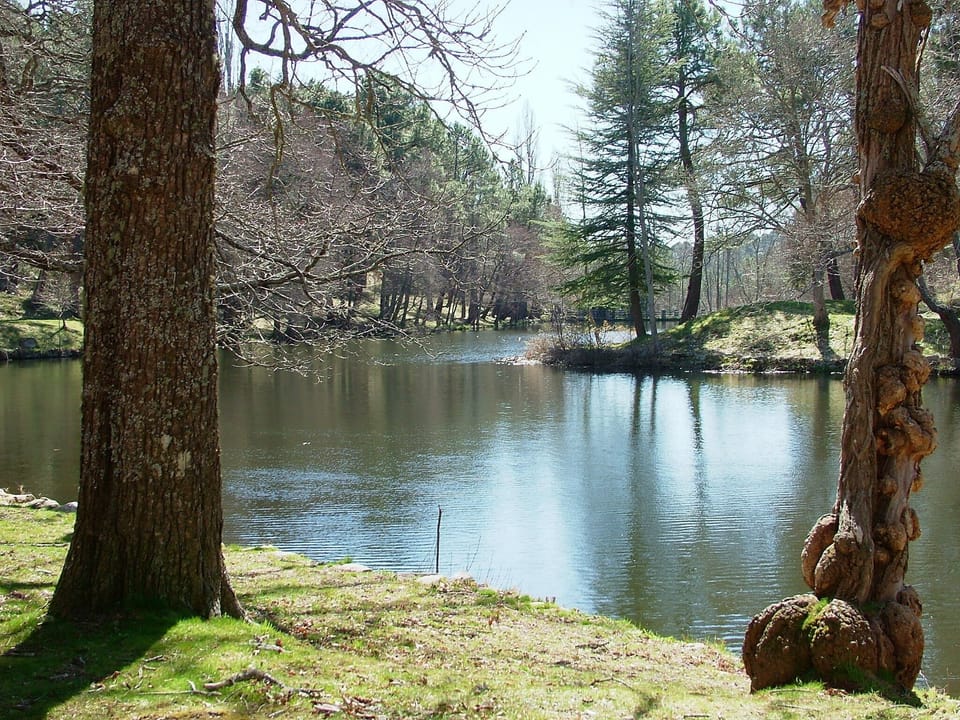 Lake in Ciudad Ducal gated community
