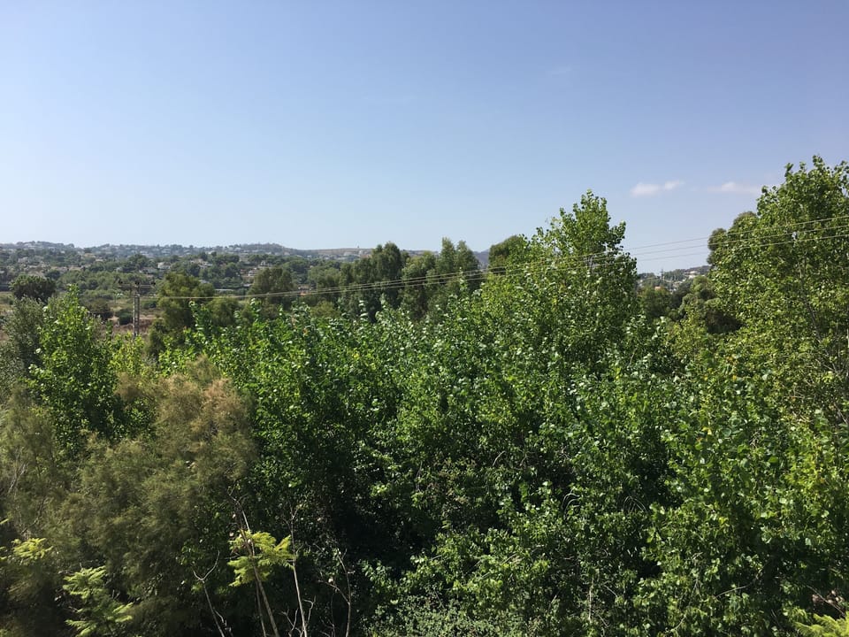 View from top terrace