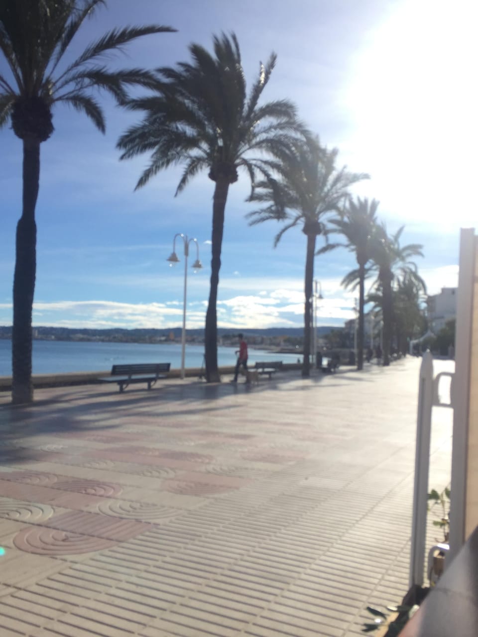 Port area of Javea