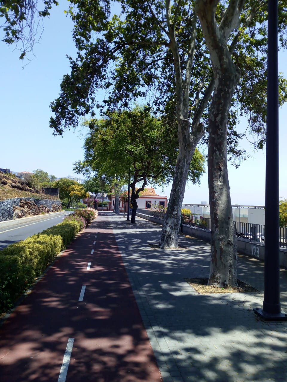 Walk along the from the apartment towards the Madeira Forum Shopping Centre.