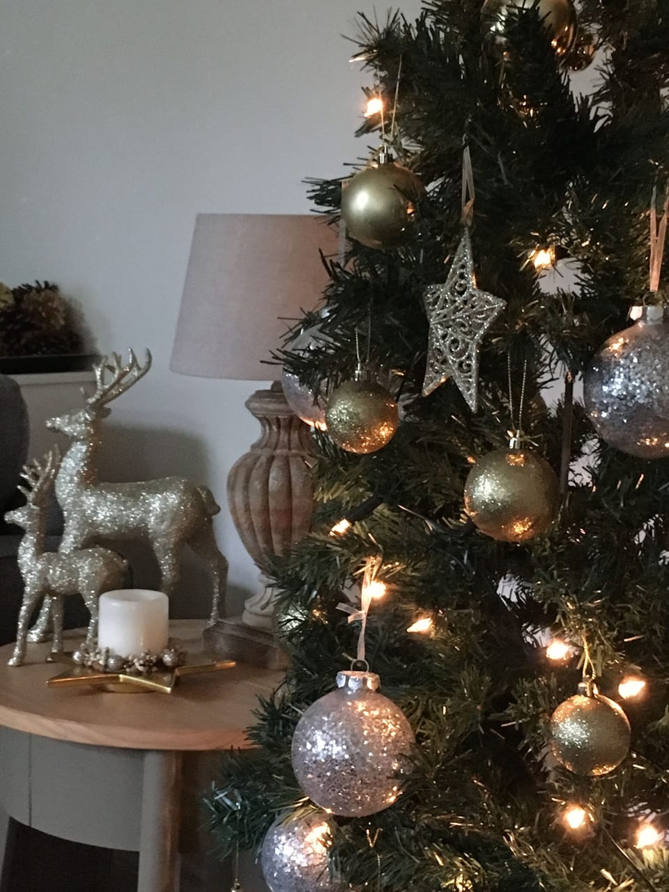 Christmas in the cottage