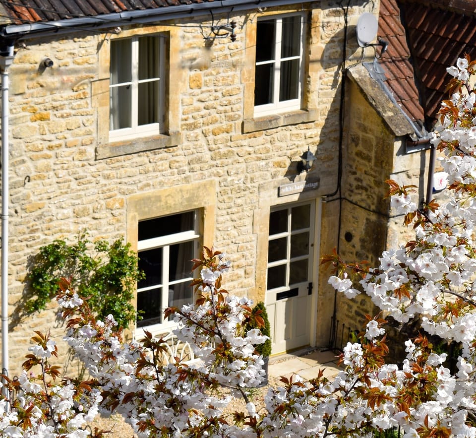 Cottage in spring blossom