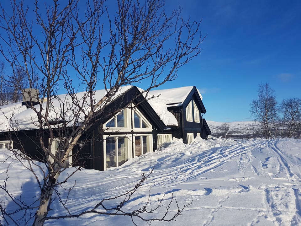 Exterior , wintee