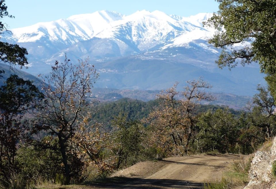Beautiful walks straight from the house.