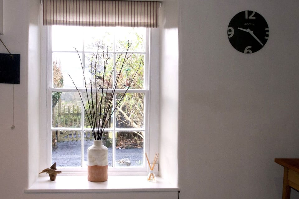 kitchen window where you can sit and watch the birds visiting the bird feeder