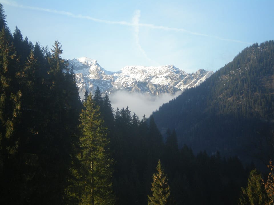 Nearby view