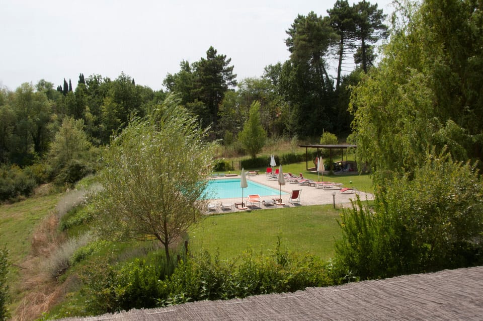 View from the window 