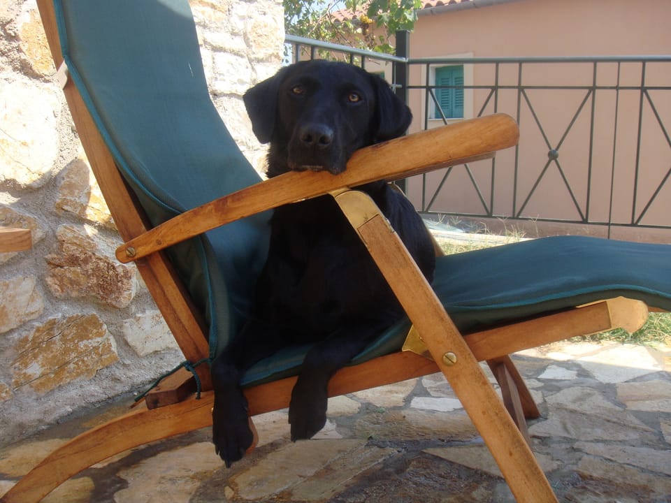 Jessie says she's happy to relax by the pool!