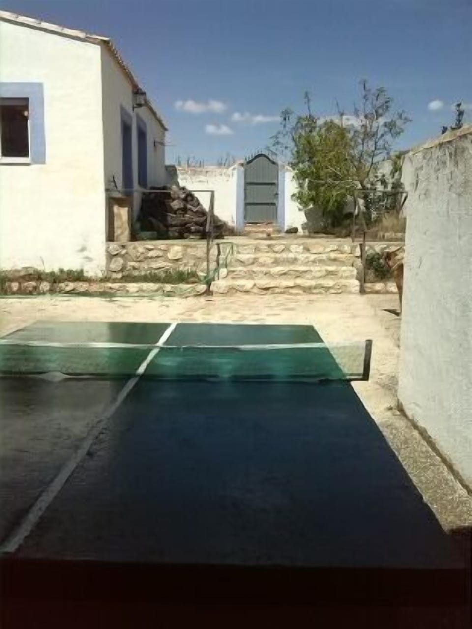 Sport court