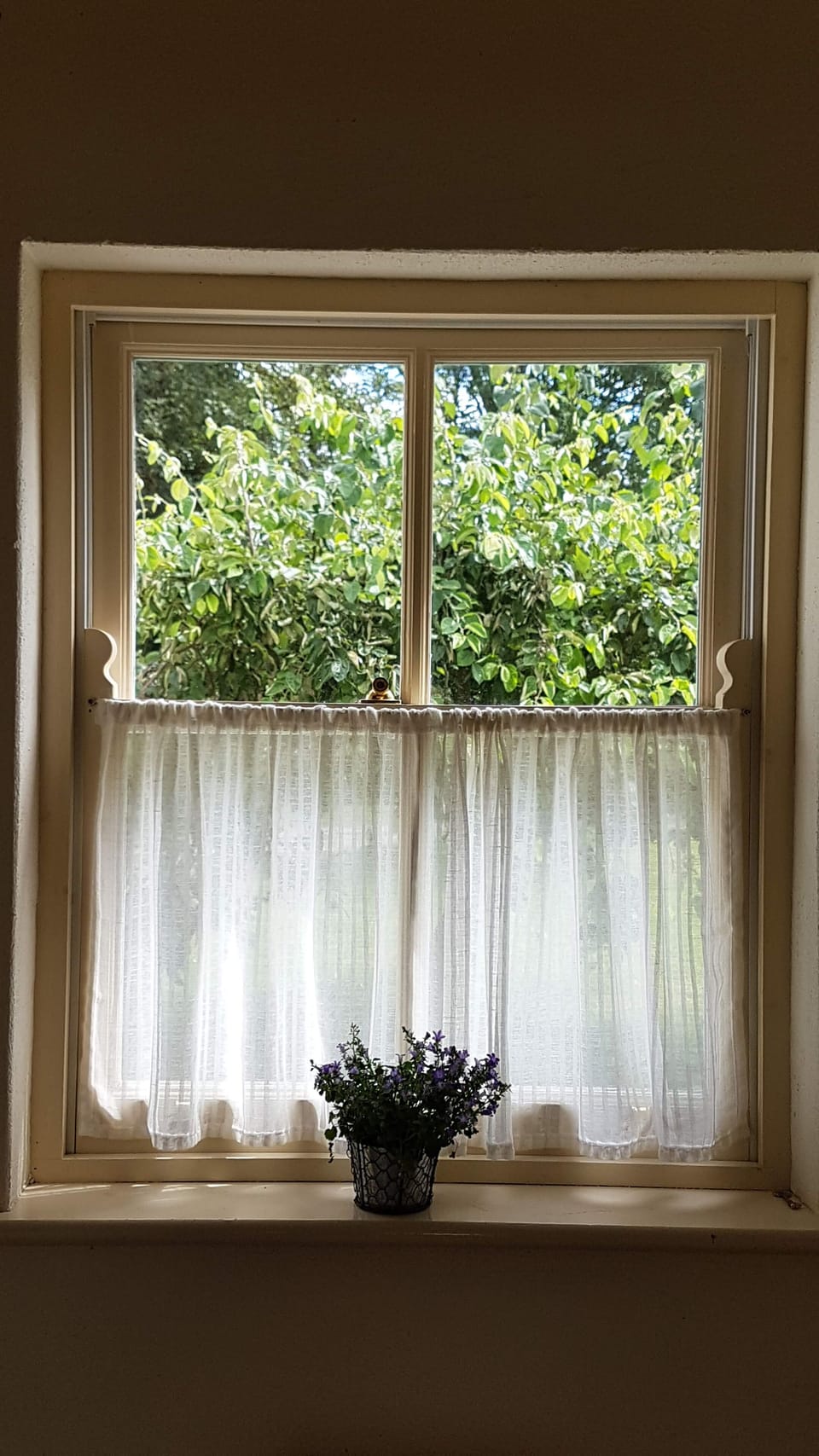Window detail