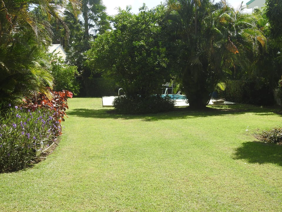 The communal garden 