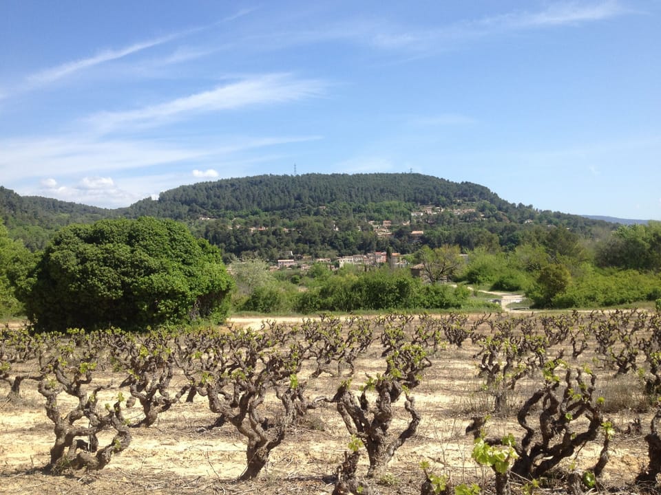 Vineyard outlook, so many around La Motte