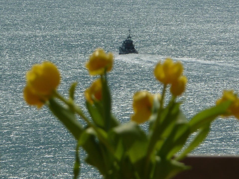 watching the boats go by ..