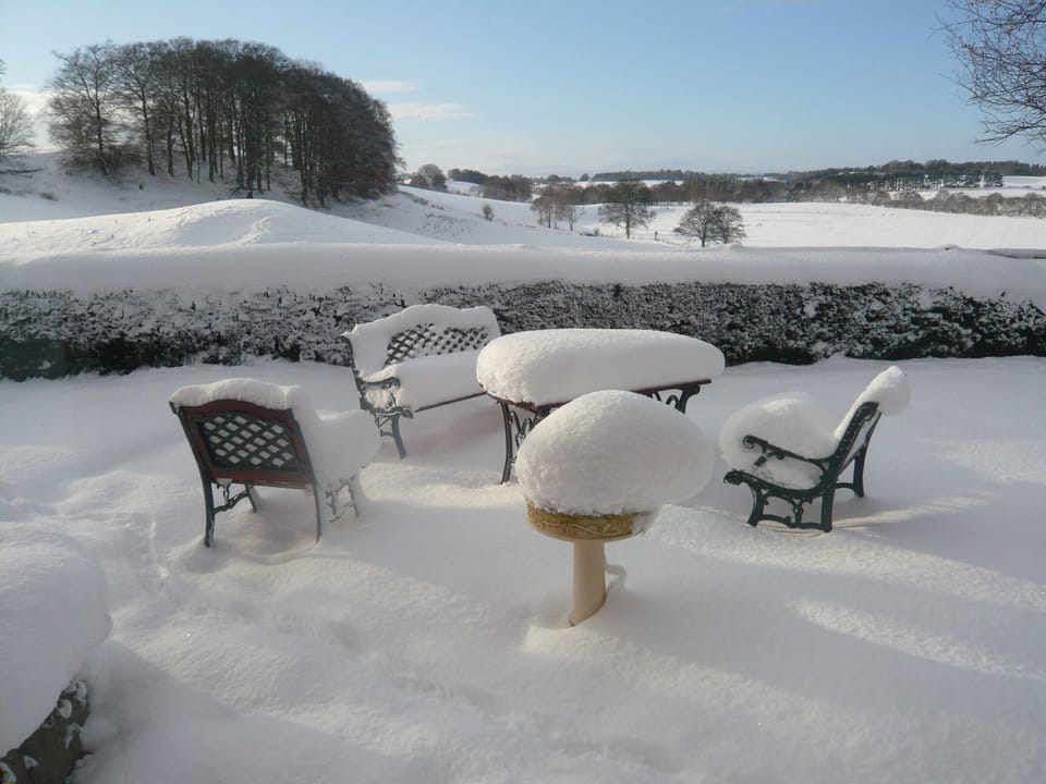 December 2010