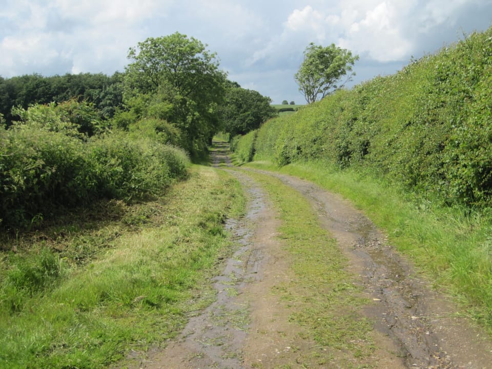 Track to Bayses Barn
