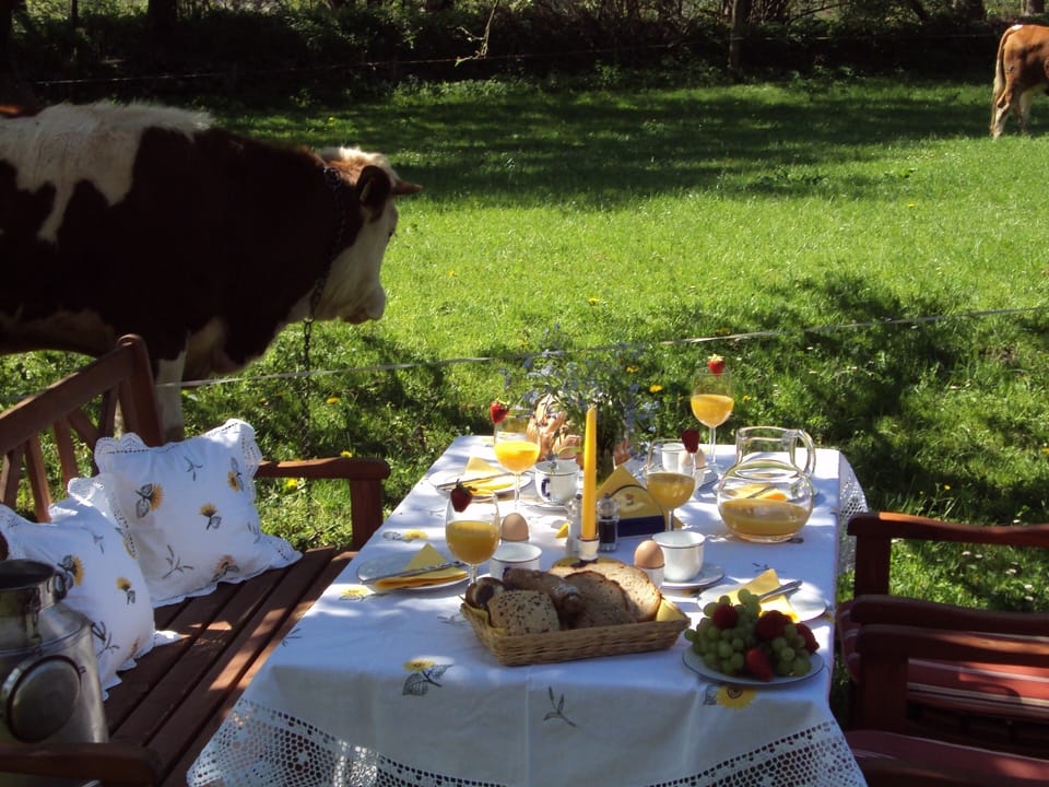 breakfast in the garden with curious visitors