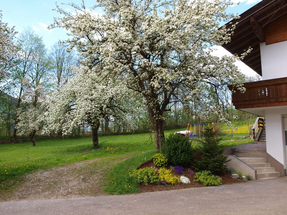 the nature in spring in the end of april