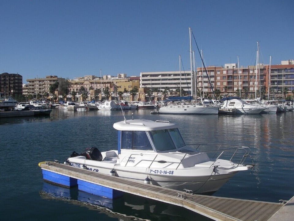 The New Marina in the port