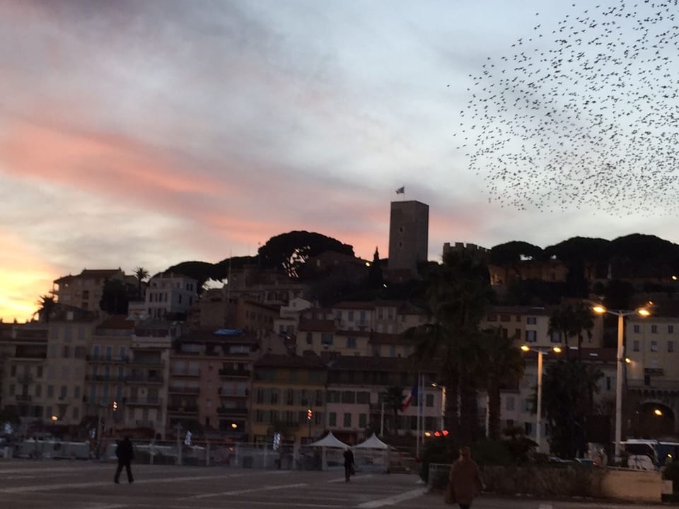 Cannes Old Town, view from Palais de Festival