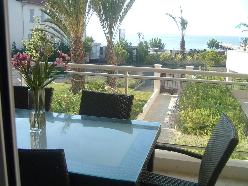 Terrace and View 
