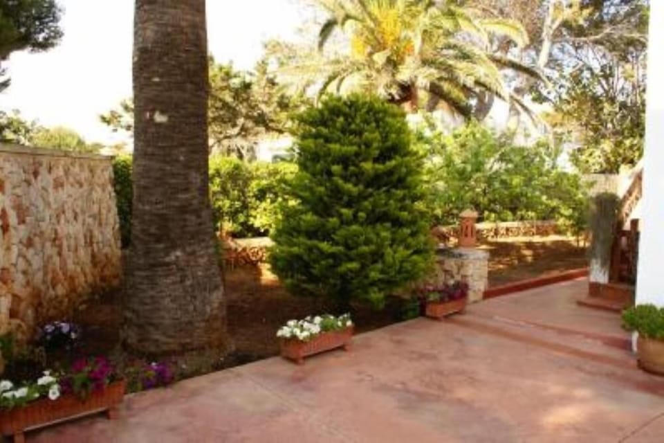 Garden, Park