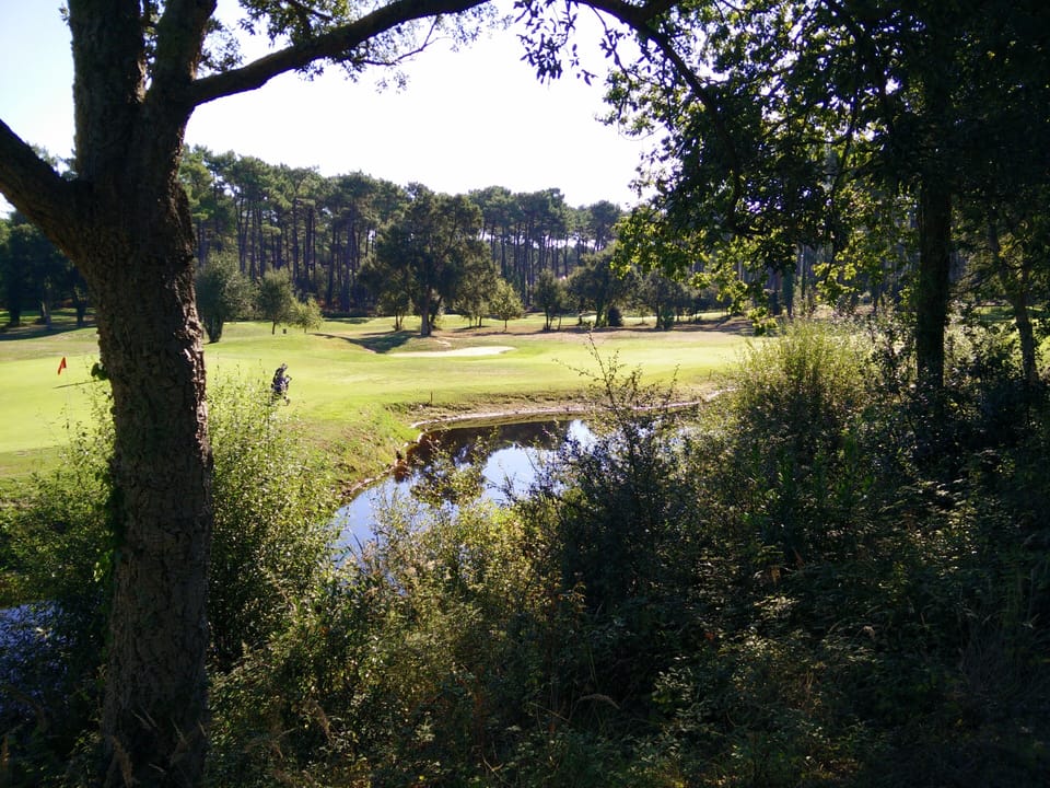 Golf