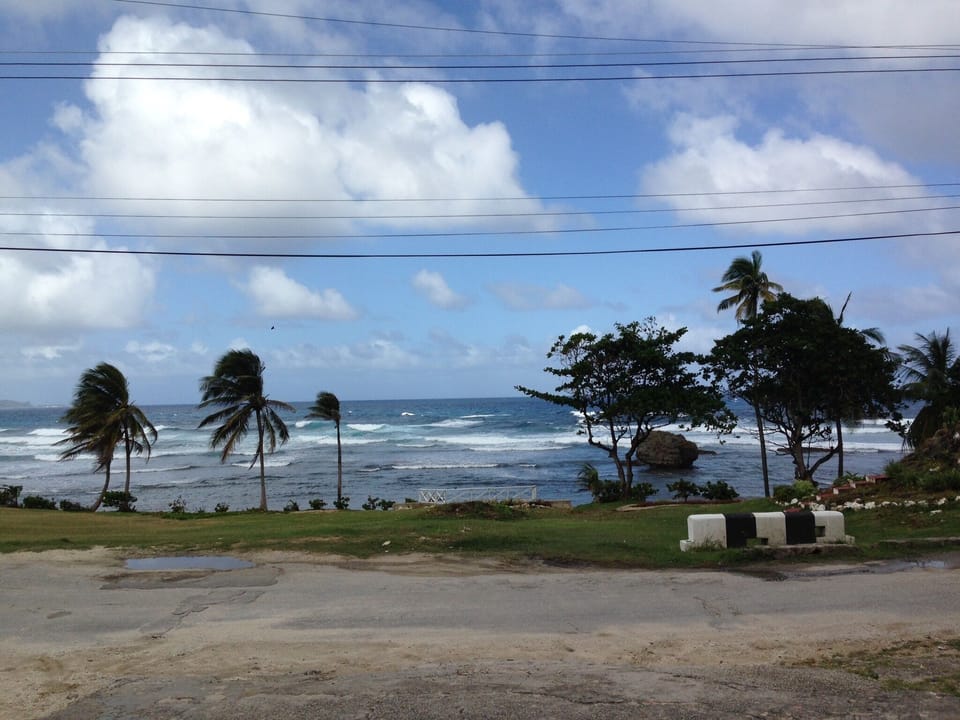 Bathsheba on wild side of barbados 