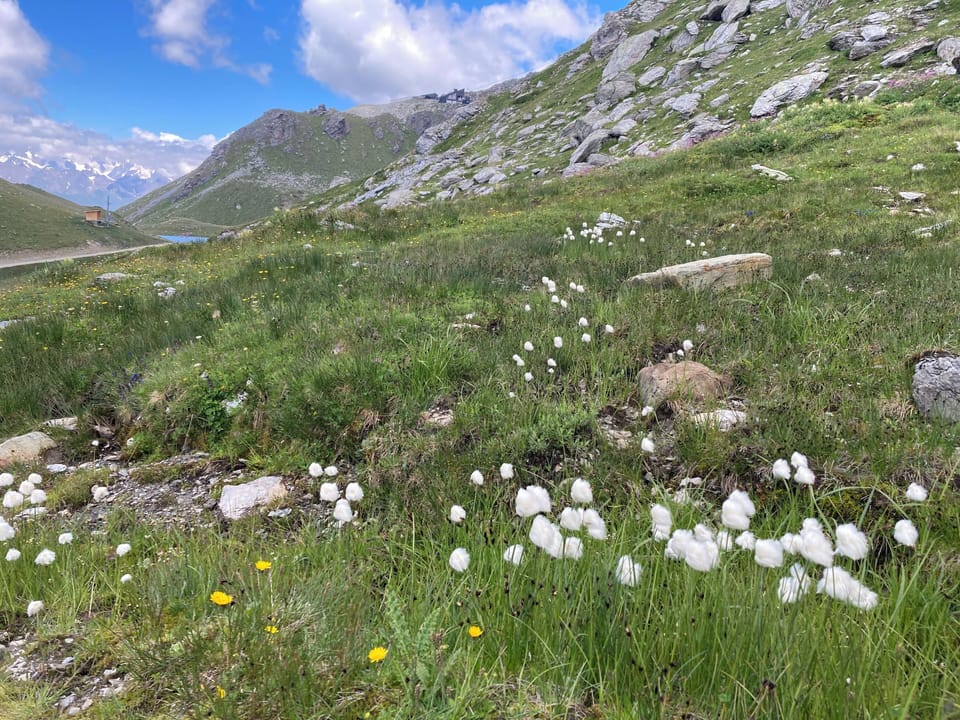 Parc Nationale de la Vanoise