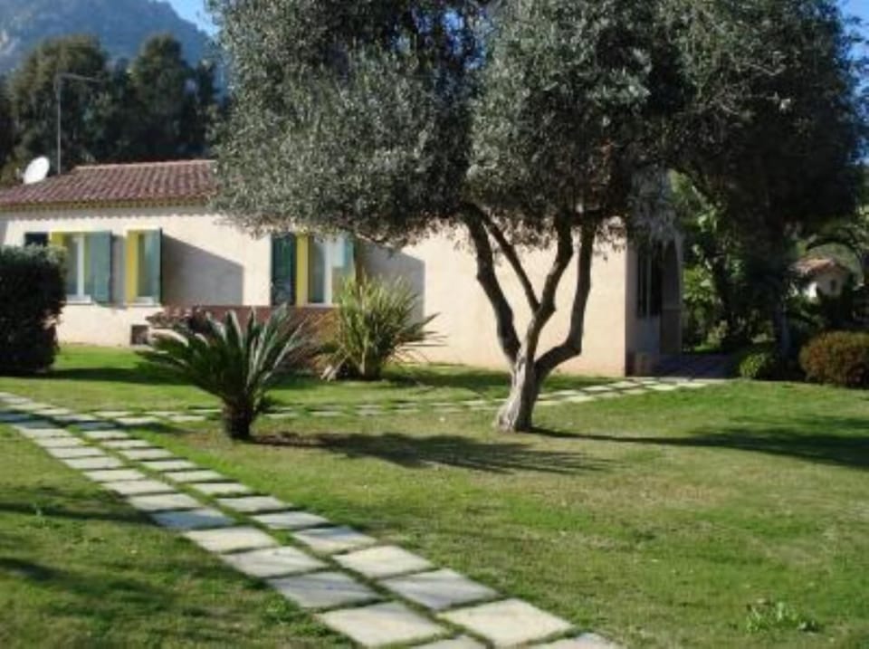 Garden, Park