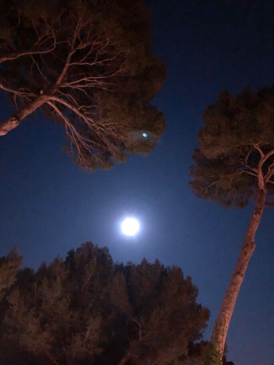 At night
