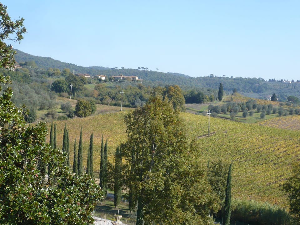 View of hamlet