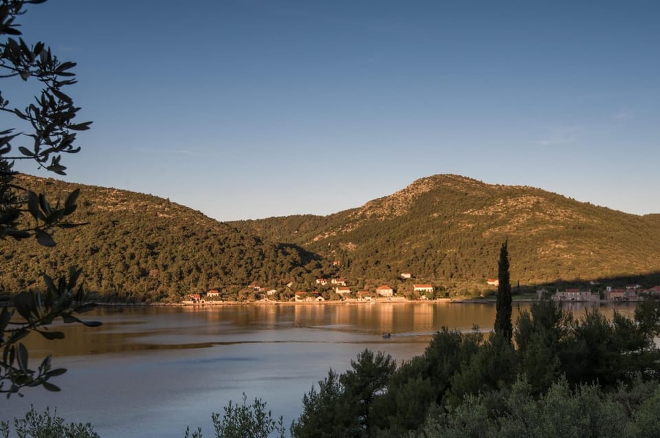 Broce at Dawn