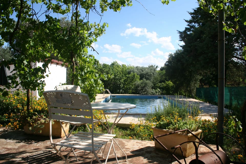 Vine covered terrace ovelooking the pool