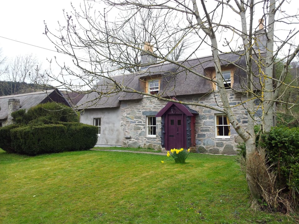 The cottage and extension 