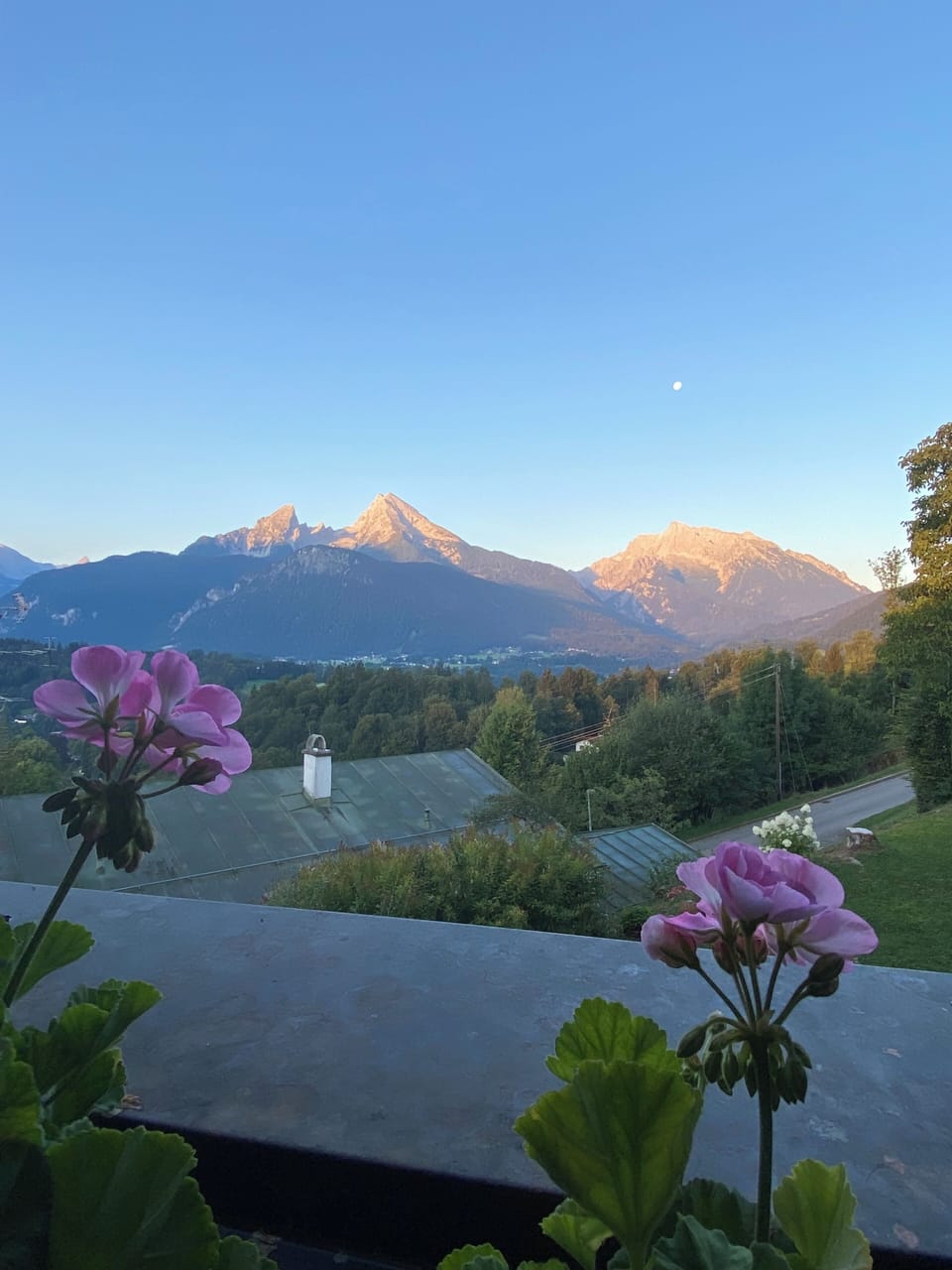 View from property