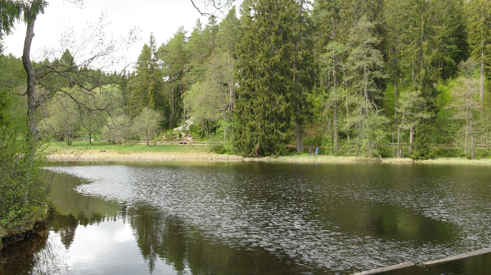 Lake