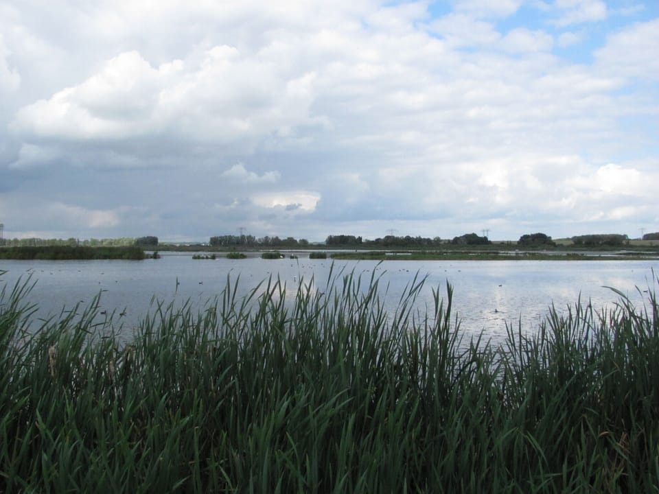 Lake