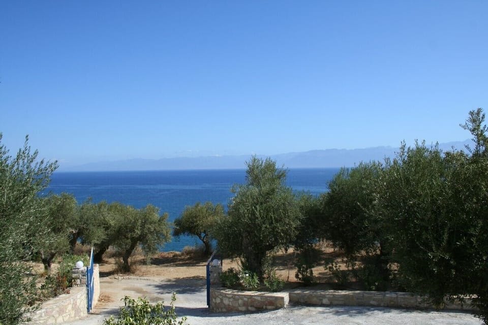 View of the patio