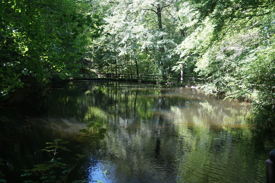 Lake