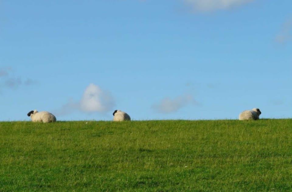 Apartment in the country house Bensersiel Apartment in Esens